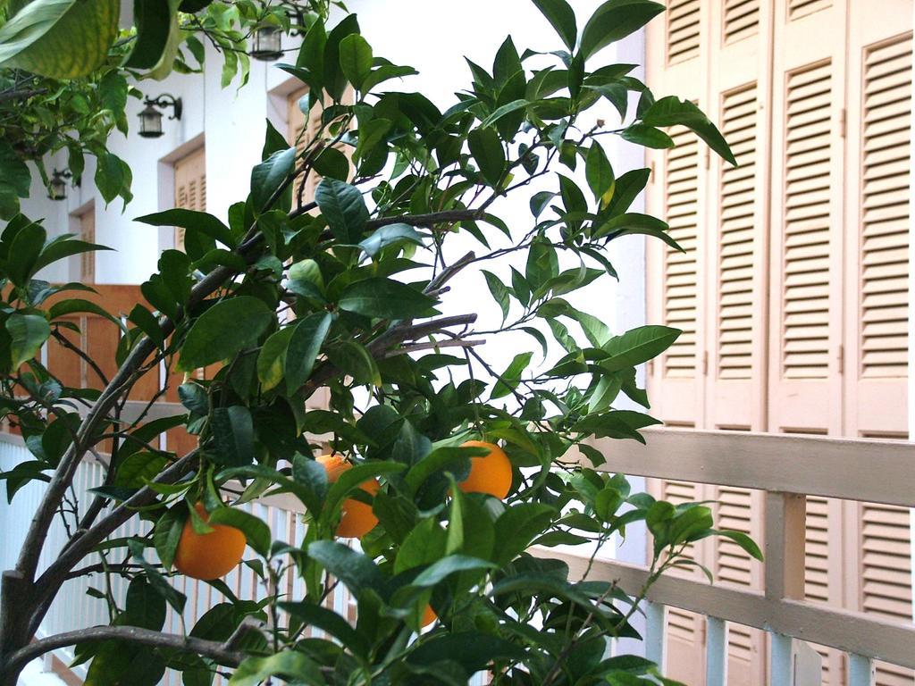 Agia Marina  George'S Apartment חדר תמונה