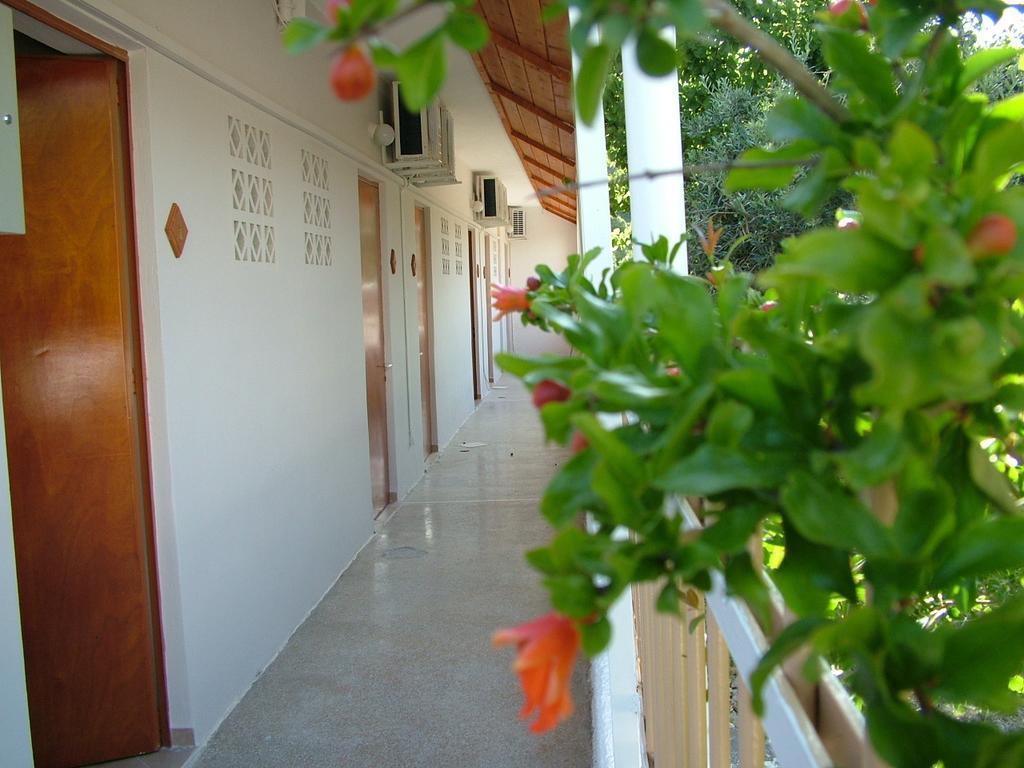 Agia Marina  George'S Apartment חדר תמונה